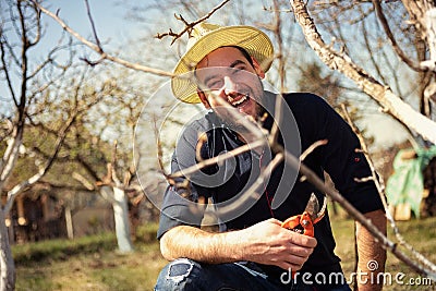 Smiling farmer pruning branches of fruit tree Stock Photo