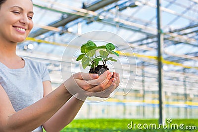 Smiling female botanist holding seedling in plant nursery Stock Photo
