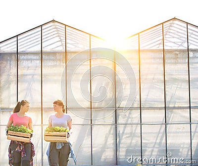 Smiling female botanists carrying plants in wooden crates against greenhouse Stock Photo