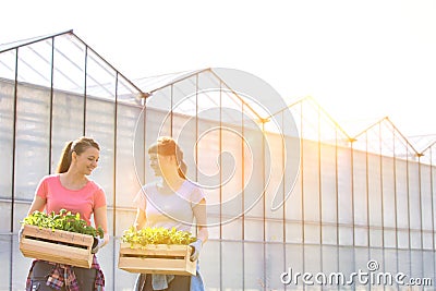 Smiling female botanists carrying plants in wooden crates against greenhouse Stock Photo