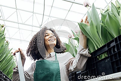 Smiling female darkskinned greenhouse worker checks condition of seedlings Stock Photo