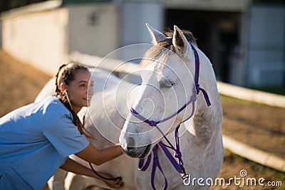 Smiling female vet checking horse Stock Photo