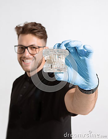 Smiling male dentist orthodontist showing dental jaw model or teeth denture. Dentistry and orthodontics concept Stock Photo