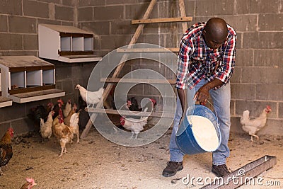Smiling male farmer with bucket feeding chickens at the farm Stock Photo