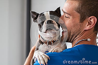 Vet cuddling pet dog Stock Photo