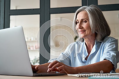 Smiling mature middle aged woman using laptop computer sitting at workplace. Stock Photo