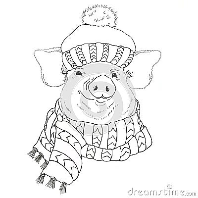 Smiling pig in winter hat and scarf on white background Stock Photo