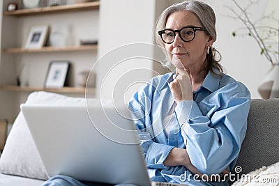Smiling 50s mature woman sitting on sofa, using laptop, working, chatting, spending time in social media Stock Photo