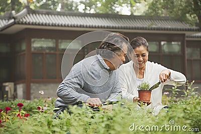 Smiling senior couple in garden Stock Photo