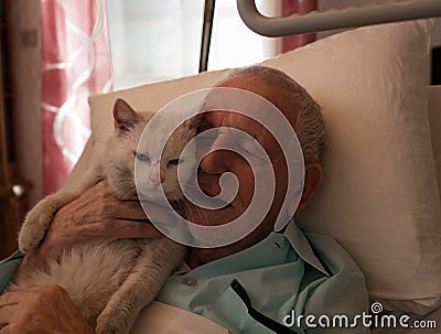 Smiling senior man hugging cat in bed Stock Photo