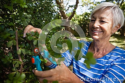 Smiling senior woman trimming plants with pruning shears Stock Photo