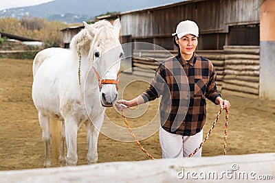 Asian horsewoman training white horse in outdoor riding arena Stock Photo