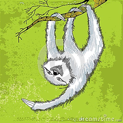 Smiling sloth hanging on a decorative branch Vector Illustration