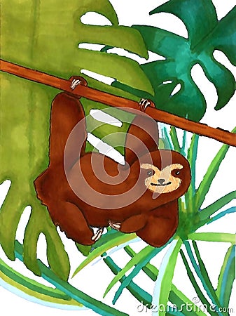 Smiling sloth hanging on a tree branch. Stock Photo