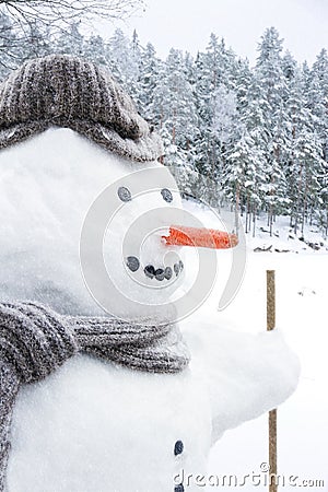 Smiling snowman with hat, scarf and carrot nose Stock Photo