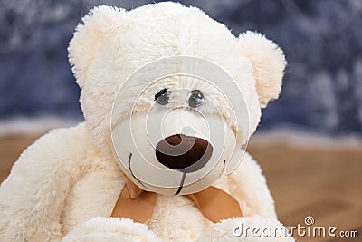 Smiling teddy bear toy sitting on the ground Stock Photo