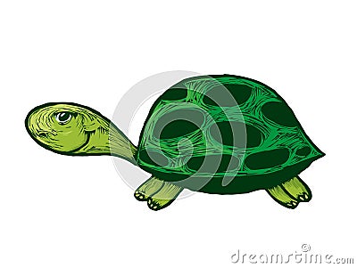 Smiling turtle cartoon Vector Illustration