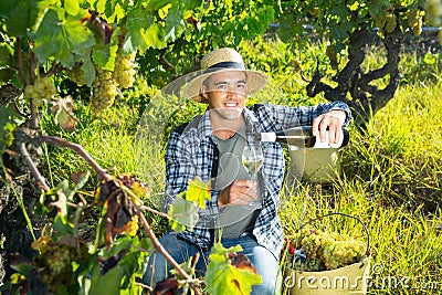 Smiling winemaker offering wine for testing in vineyard Stock Photo