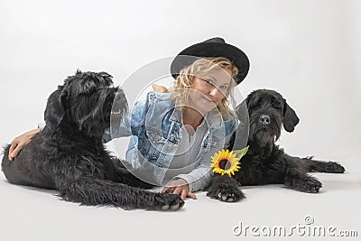 Smiling woman is lying with two Big Schnauzer Dogs Stock Photo