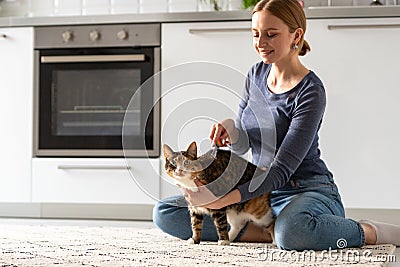 Smiling woman owner combing, scratching her cat. Comb hair, close up Stock Photo