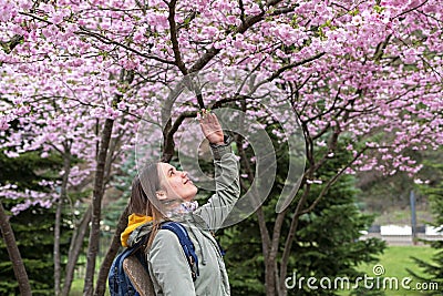 Smiling young woman tourist near blossoming sacura tree touching twig, pink purple cherry flowers spring bloom Stock Photo