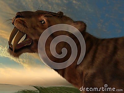 Smilodon Cat Stock Photo