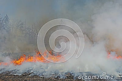 Smoke and Fire and Darkened Skies Stock Photo