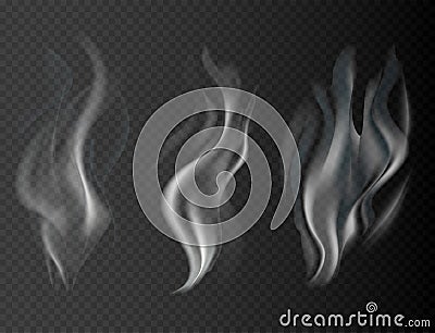 Smoke isolated on transparent background vector illustration Vector Illustration