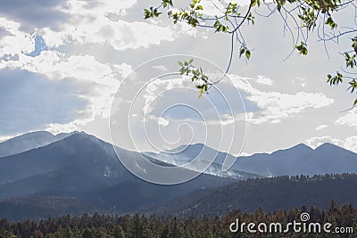 Smoke rising from the mountains during the Schultz Fire near Flagstaff, Arizona. Stock Photo