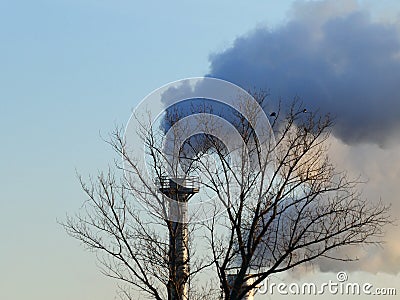 Smoke spews out of a chimney at an industrial plant near the trees Stock Photo