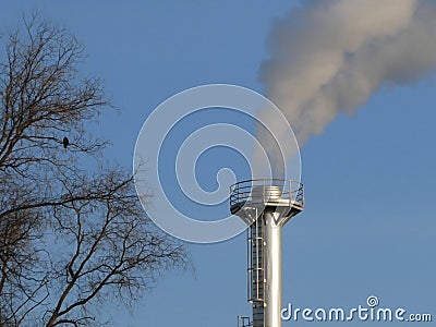 Smoke spews out of a chimney at an industrial plant near the trees with bird Stock Photo