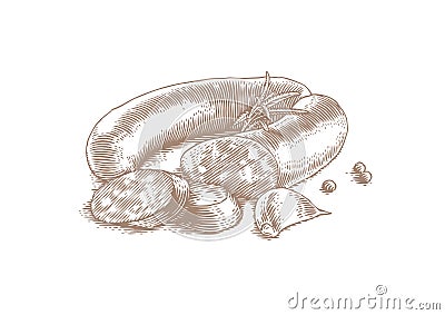 Smoked sausage with spice Vector Illustration