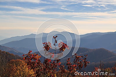 Smokey mountains, newfound gap, webb overlook. Stock Photo