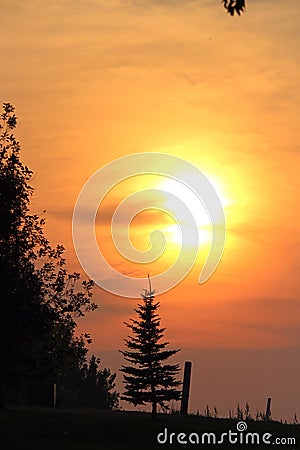 Smokey sunset and tree at Flowing Springs Stock Photo
