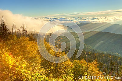 Smokies Stock Photo