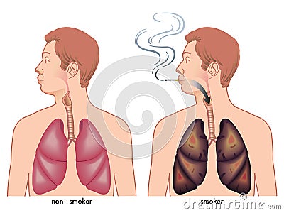 Smoking Vector Illustration