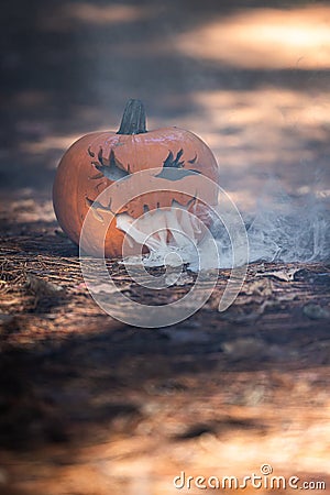 Smoking jack o' lantern in the forest Stock Photo