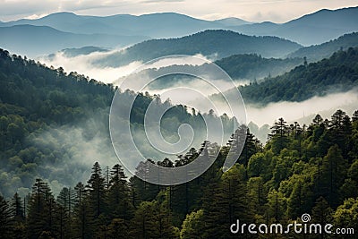 Smoky cloudy mountains trees natural. Generate AI Stock Photo