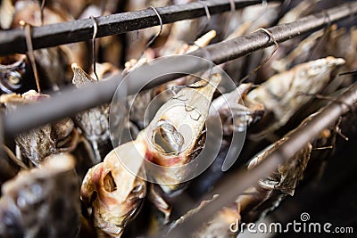 Smoky fish in smokehouse Stock Photo