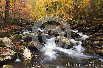 Smoky Mountain Fall Stream Stock Photo