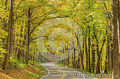 Smoky Mountain Road In Autumn REVISED Stock Photo