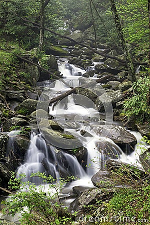 Smoky Mountain Spring Stock Photo