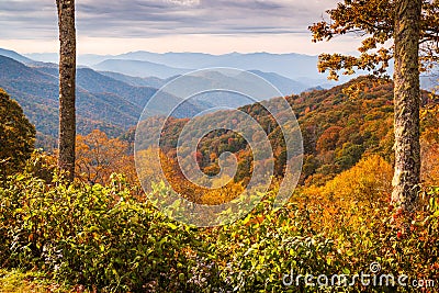 Smoky Mountains National Park, Tennessee autumn landscape at Newfound Gap Stock Photo