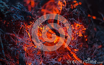 Smoldering ashes in the fire Stock Photo
