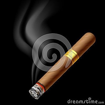 Smoldering cigar Vector Illustration