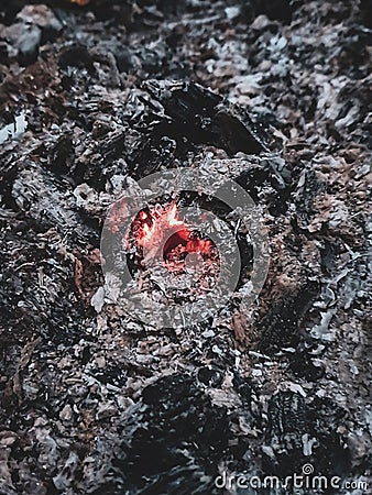 Smoldering coal in a bonfire in the wild forest Stock Photo