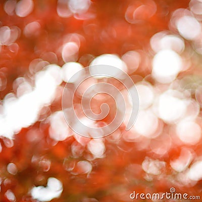 Smooth bokeh with highlight circles Stock Photo