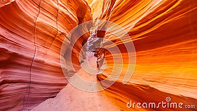 The smooth curved Red Sandstone walls caused by water erosion in Mountain Sheep Canyon Stock Photo