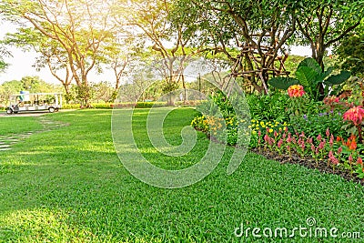 Smooth green grass lawn in good care maintenance garden, flowering plant, shurb and trees on backyard under morning sunlight Stock Photo