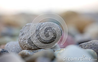 Smooth grey pebble with pattern among other colorful rocks ,shallow depth of field Stock Photo